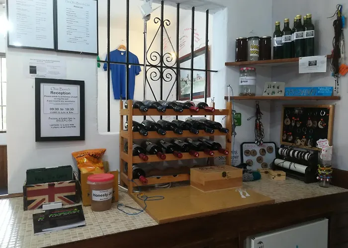Olive Branch El Chorro