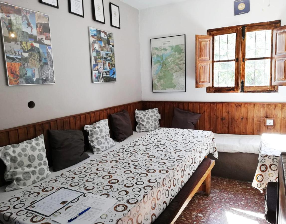 Casa de hóspedes Olive Branch