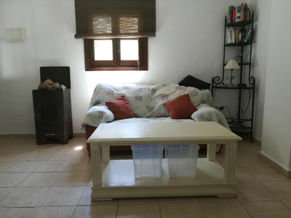 Casa de hóspedes Olive Branch