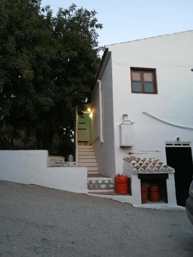 Casa de hóspedes Olive Branch *